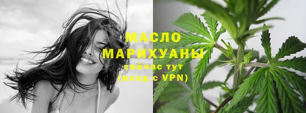 стаф Касимов
