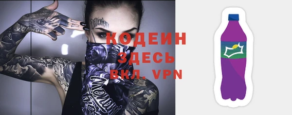 прущие грибы Каменка