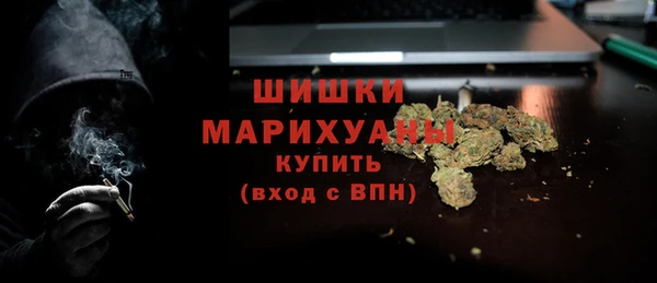 стаф Касимов