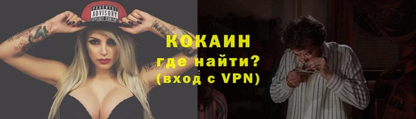 стаф Касимов