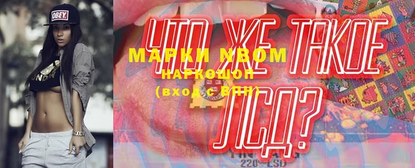 стаф Касимов