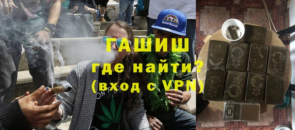 стаф Касимов