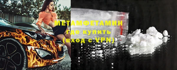 стаф Касимов
